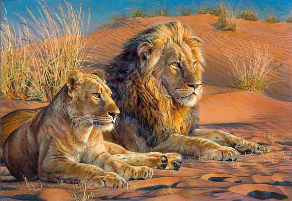 Kalahari Simbas